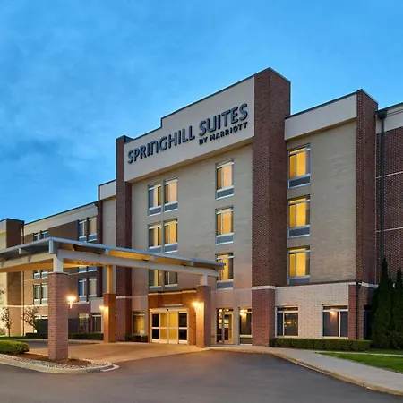 Springhill Suites By Marriott Detroit Metro Airport Romulus-3